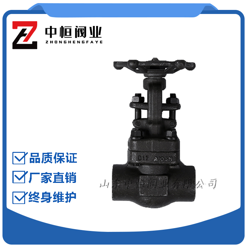 Forged steel wire buckle cut valve J11H-800LB internal thread high temperature and high pressure steam standard DN15 20 25 32