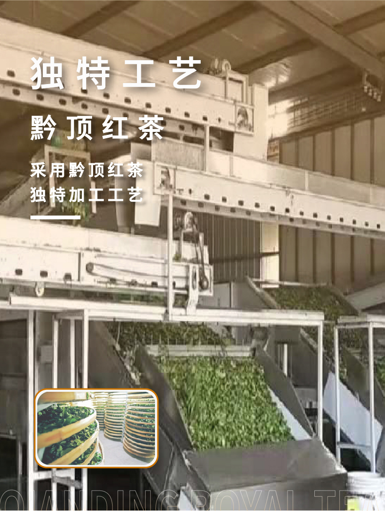 【100g】黔顶金沙贡茶一级红茶茶叶