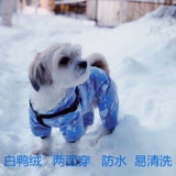 Pet Winter Tide Brand Brand Blought Olding Collesed Jiji Doll Corki VIP Teddy Dog Four -legged Down Down ///