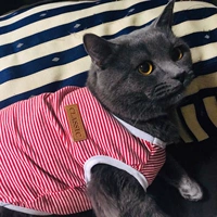 Красный жилет