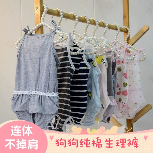 Тедди биологические штаны Женщина -домашние щенки для собаки луна меридианские штаны мужчина и женщина -херес