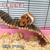 Яблочные ветви