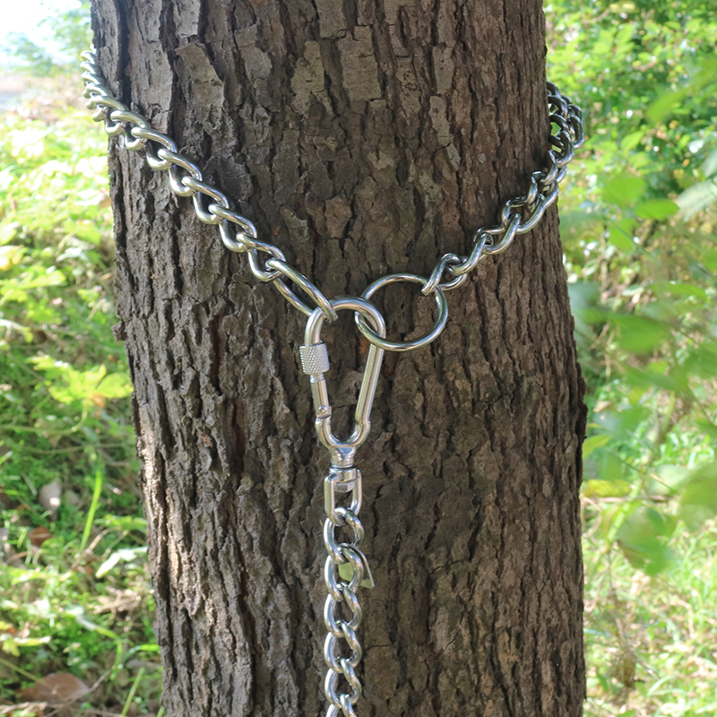 Dog chain tied tree throttle dog supplies fixed zhuang accessories tied door chain
