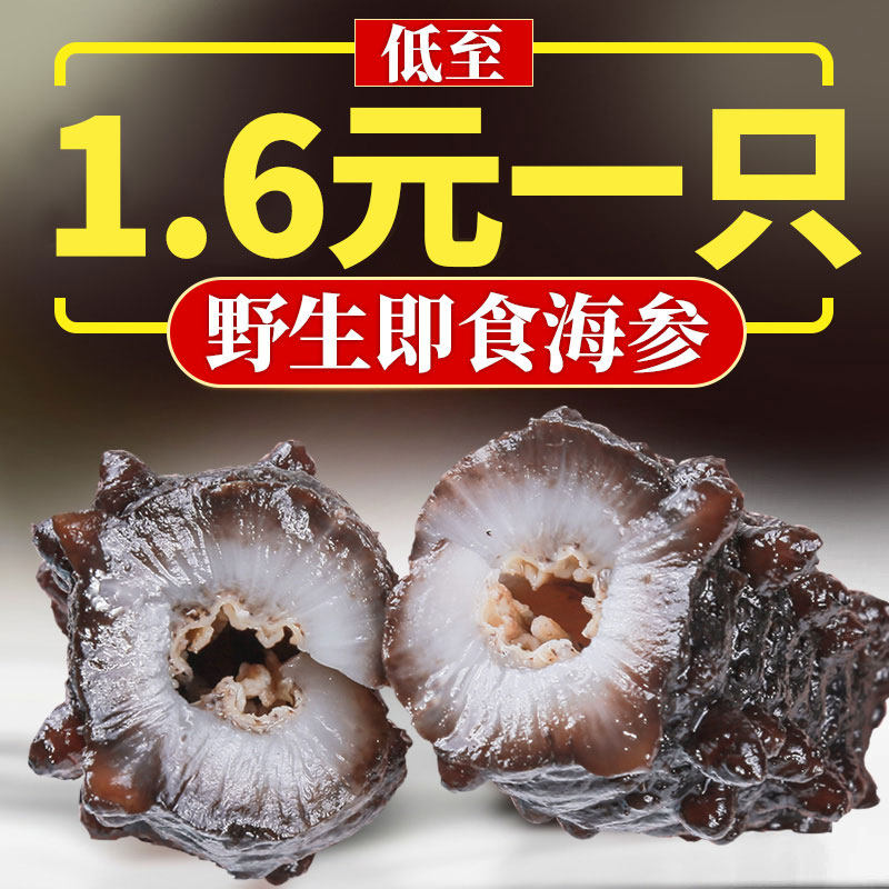 Pure wild instant sea cucumber Fresh deep seabed sown Liao ginseng Turkish rice thorn sea cucumber single pack 500g