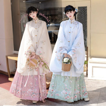 Ming dynasty hanfu huajianxu stand-up collar gown