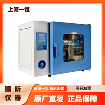 Shanghai Yiheng DHG-9053A 9123A 9203A Electric constant temperature blast drying oven
