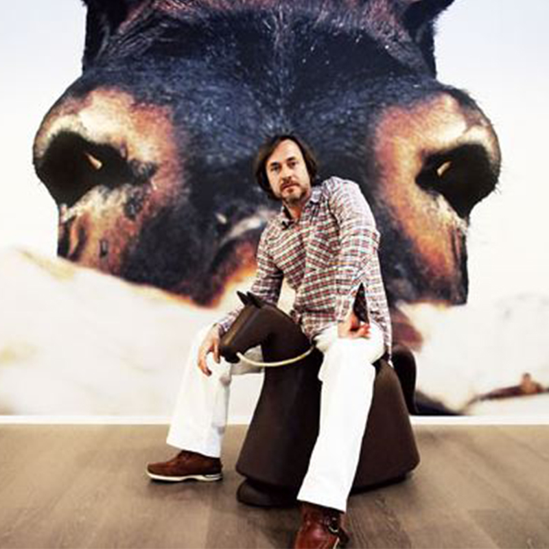 Nordic designer model room creative children cartoon pony rocking chair living room art net red glass steel recreational chair