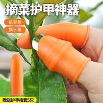 Vegetable Picker Thumb Knife Picking Pepper God Picking Beans Iron Nail Picking Vegetable Picking Artifact Agricultural Strawberry Picking Finger Gloves