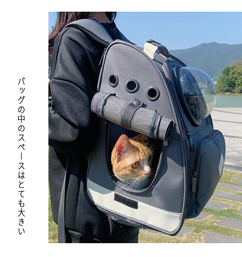 寵物ostracod貓背包貓包外出便攜透氣大號雙肩太空艙寵物書包狗狗貓咪背包