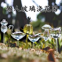 Transparent glass lazy watering and flower cultivation drip irrigation household green plant potted automatic flower watering device gardening tools