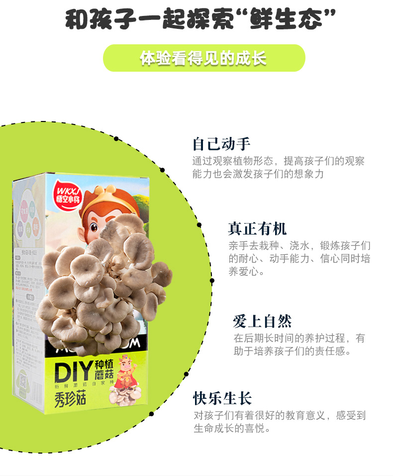 【2盒装】悟空小将蘑菇种植包2kg