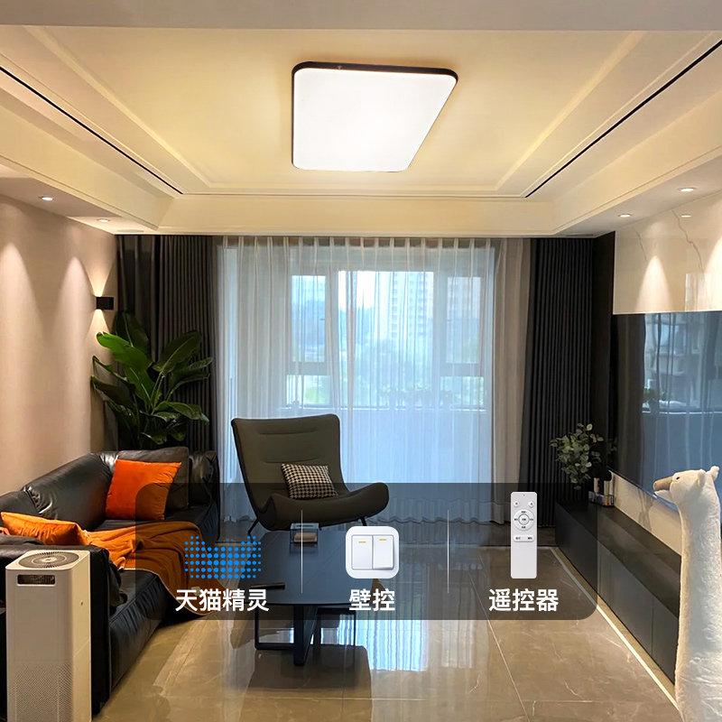 Moon Shadow Modern Minimalist Living-room Light LED Suction Dome bedroom Nordic Lamp Portfolio Full house Atmosphere Smart Plan