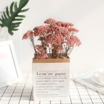 Natural eternal rice flower Forest fresh home decoration Nordic creative dry bouquet Japanese literature and art