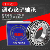Import NSK22205 22206 22207 22207 22209 22208 22210 22210 EAE4 Aligning Roller Bearings