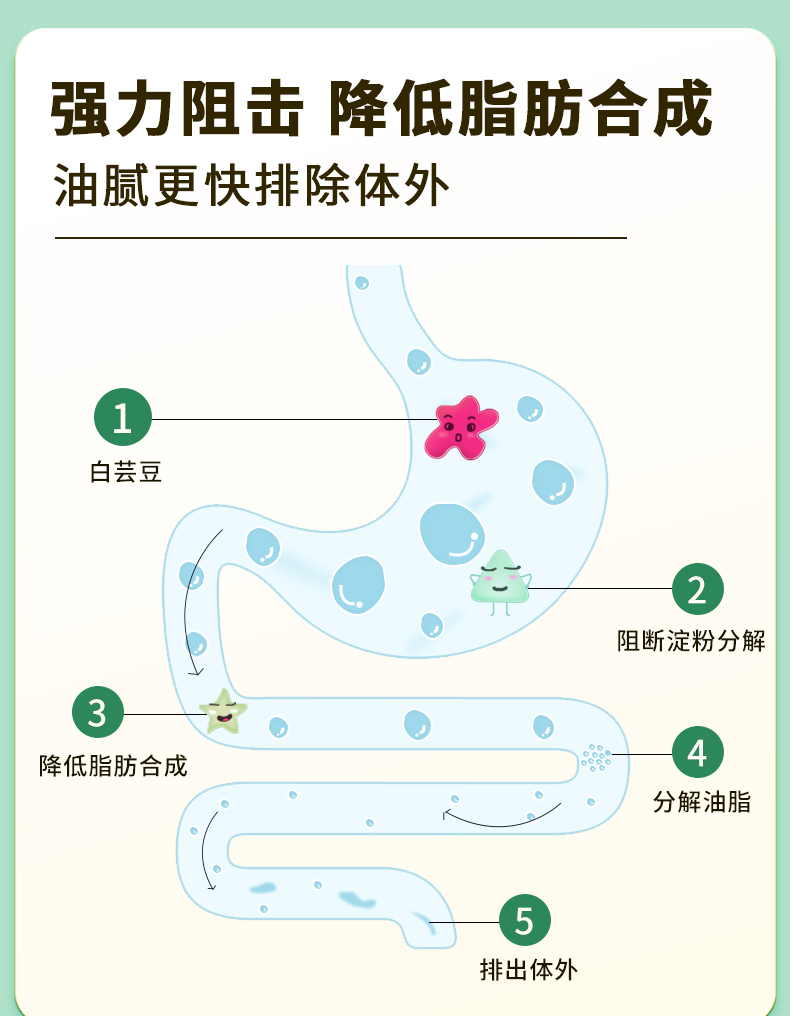 【同仁堂】白芸豆阻断剂白芸豆阻断