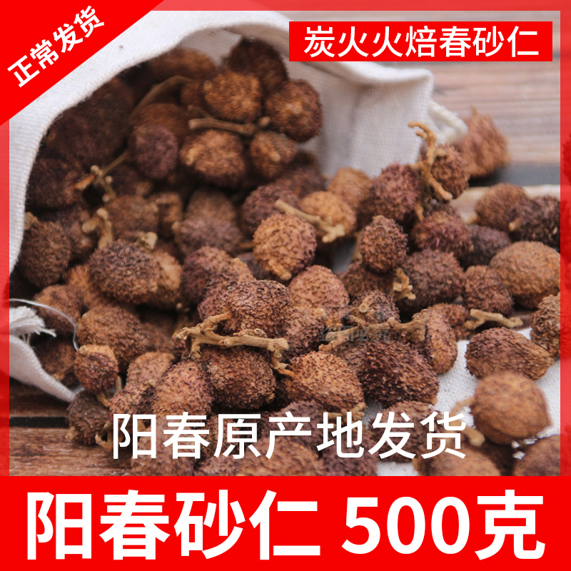 Authentic Yangchun specialty spring Amomum villosum dried 500g traditional Chinese medicine Yangjiang Amomum villosum fruit stomach-nourishing tea wine honey