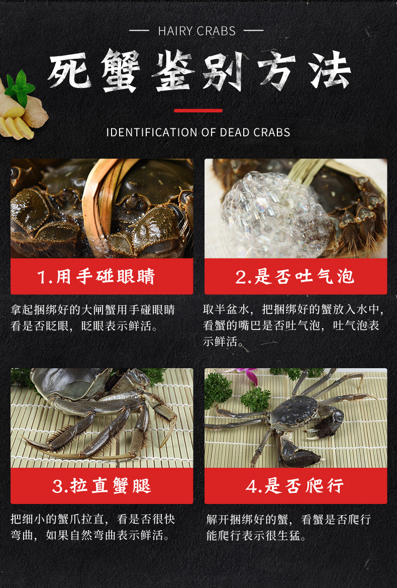 现货 鲜活大闸蟹 全母蟹1.5两*12只 图5