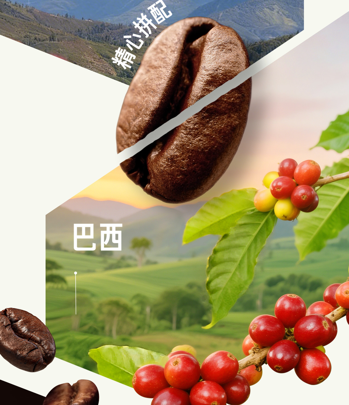安享好物 安享E级即饮咖啡-星巴克椰香 丝绒拿铁 国标 