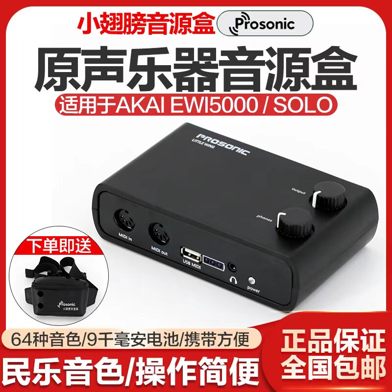 Small wings blowing tube sound box contains Chinese folk music string Yajiajiajiakai 5000 Solo Walmart Roland