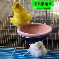 White jade bird breeding nest white jade canary swallows snowpigeon pigeon in one cotton can be cleaned