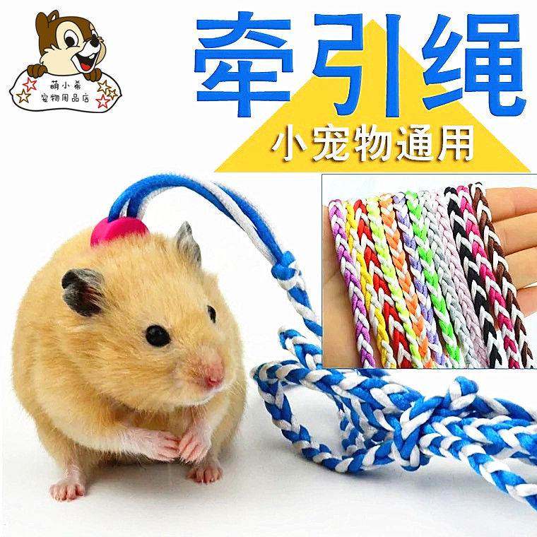 Small Harden Traction Rope Rabbit Holland Pig Dragon Clothes Strap Three-wire Mini-Rope Little Pet Chain