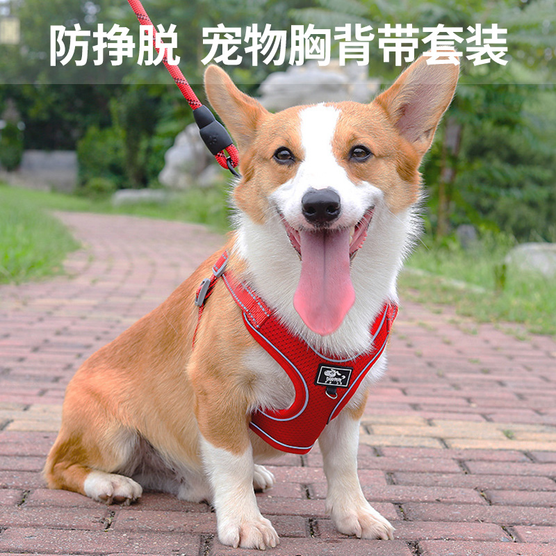 Vest-style dog traction rope Kirkifa hopper small and medium dog breast holding baby bag Pets for walking dog rope Anti-biting and breaking dog rope chain