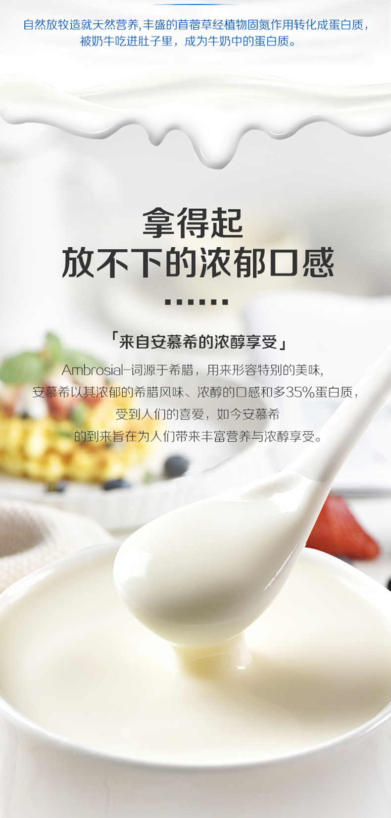 伊利 安慕希 原味希腊酸奶 205g*16盒 图5