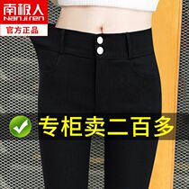 Antarctic leggings womens outer wear thin spring and autumn high waist thin and fat mm large size elastic feet magic black pants