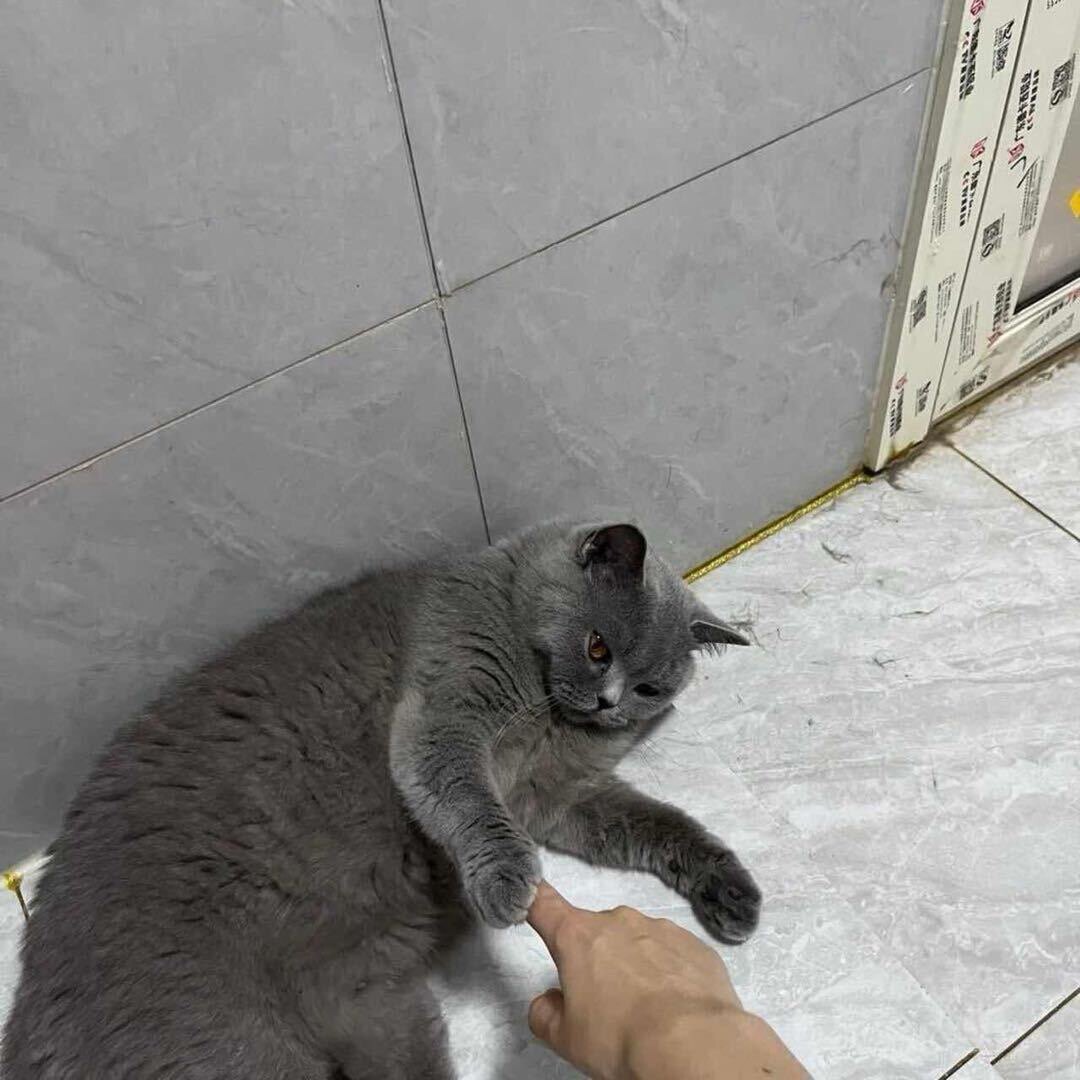 外设达人