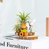 Маленький животный кролик