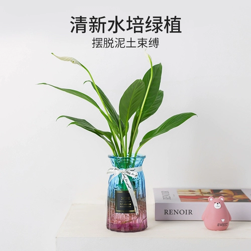 Гидропонная новая домашняя утиная утка