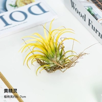 Порнографический