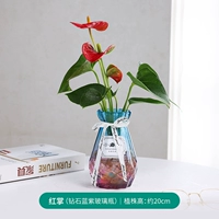 Красная ладонь+алмазная бутылка из фиолетового стеклянного стекла