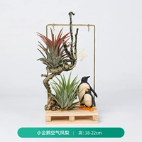 Маленький ананас воздушного пингвина (продукты для продуктов)