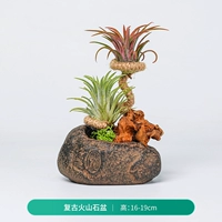 Ретро вулканический каменный бассейн (готовый продукт)