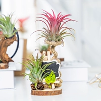 Черная доска