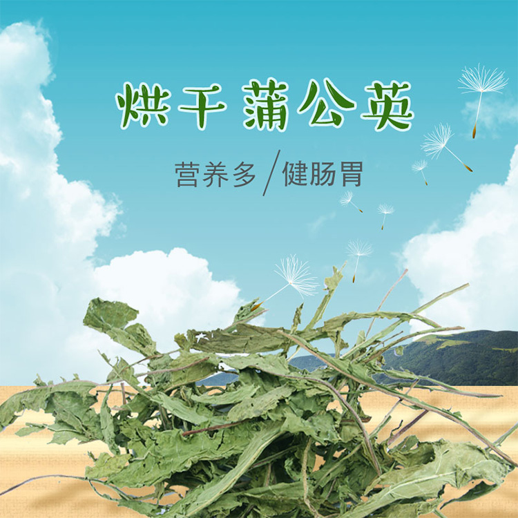 2020 drying dandelion pet rabbit dragon cat guinea pig Dutch pig rabbit dried grass food snacks pasta