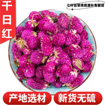 Thousand Days Saffron 500g Special Thousand Days Purple Dried Flowers in Bulk Can be Served with Rose Tea Lemon Slices Jasmine Tea
