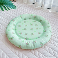 Круглая зеленая лягушка