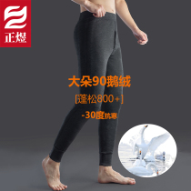 Zhengyu down pants for men white goose down thin warm stretchy slim-fitting high-waisted thickened northeastern cotton pants for young and middle-aged people