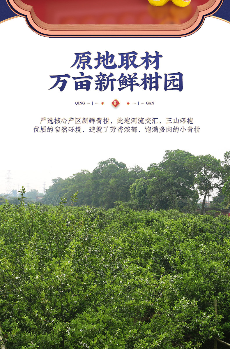 植宗 小青柑 云南宫廷普洱茶 礼盒装 图2