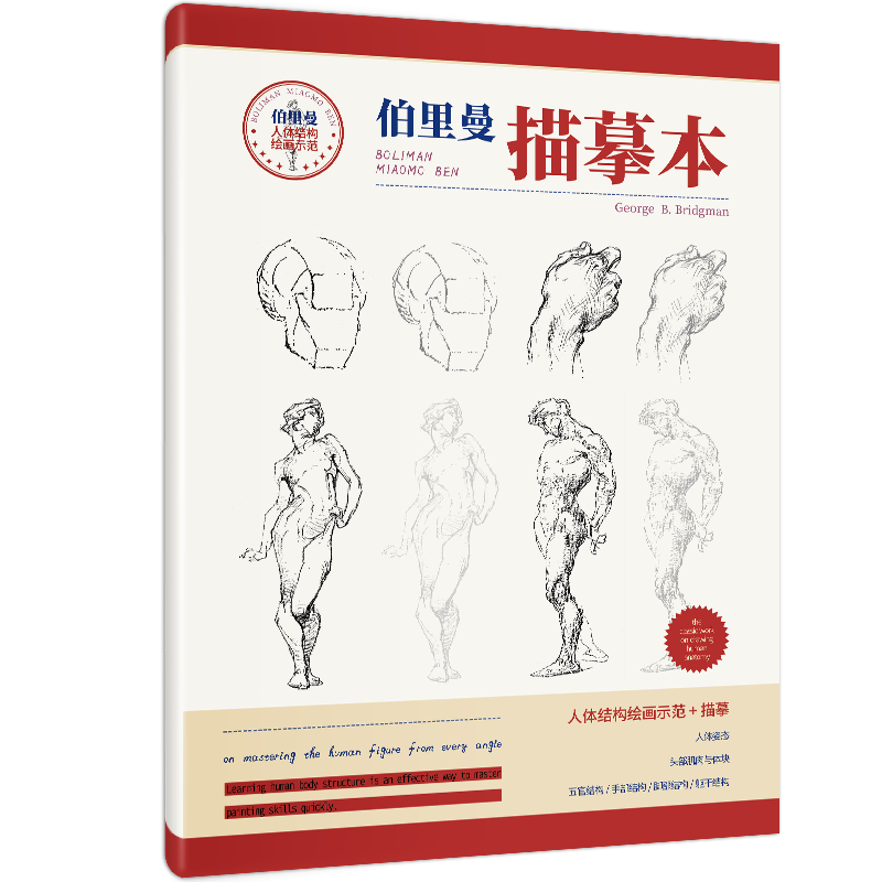 First line reputation human body structure tutorial copy book