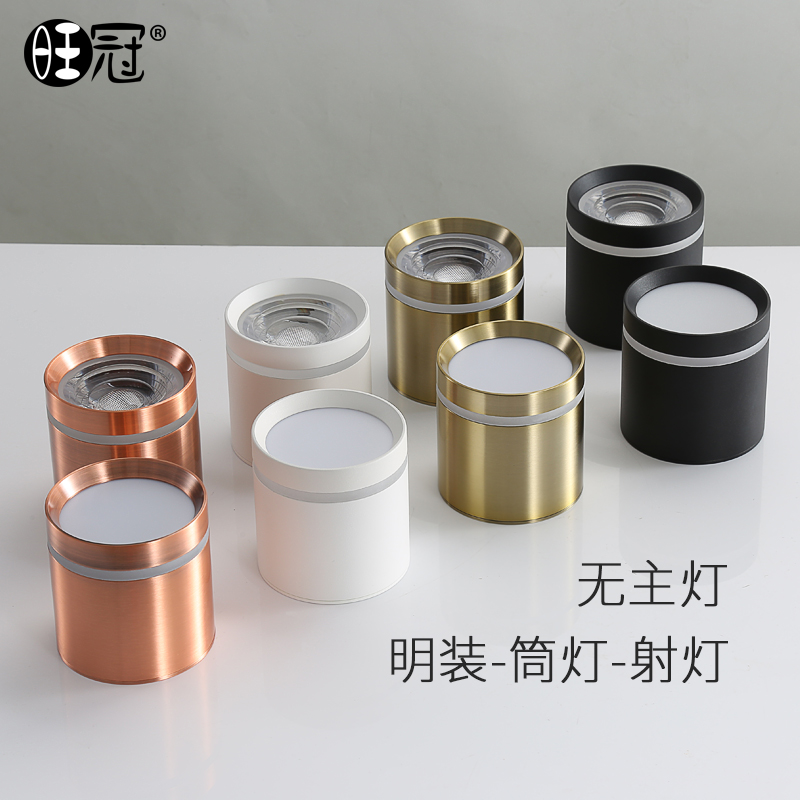 led surface mounted downlight light luxury ceiling corridor aisle home entry lamp porch cloakroom golden living room spotlight