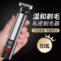 [Та же модель в основном изображении] [недавно обновленный цифровой дисплей с большим экраном, 10W Super High Power, Private Beaver] Серебряная модель