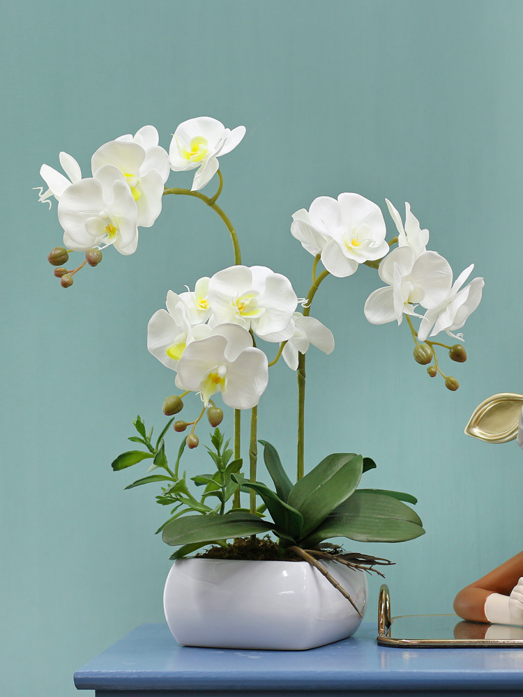 Flowers and dreams High-end feel Phalaenopsis simulation floral ornaments Table flowers pendulum flowers placed on high-end coffee table