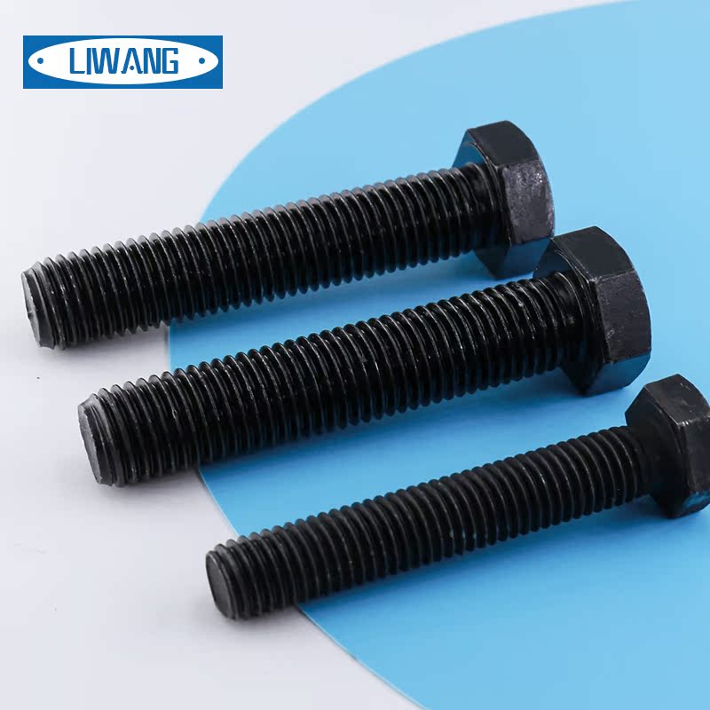 12 9 grade hair black GB5783 Outer hexagonal bolt M20m22m24