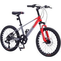 Phoenix Child Bike Girl Male 20-inch Magnesium alloy Jubilee 7 variable-speed CUHK Damping Racing Bike