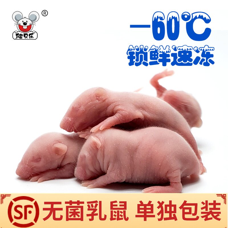 Climbing Belle sterile mouse reptile corn snake black king pig nose feed horned frog lizard red powder skin opening milk