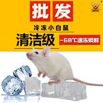 (Wholesale) Fresh sterilized quick-frozen small white suckling rat cubs with red pink skin and white frost Yacheng feed snake horned frogs food