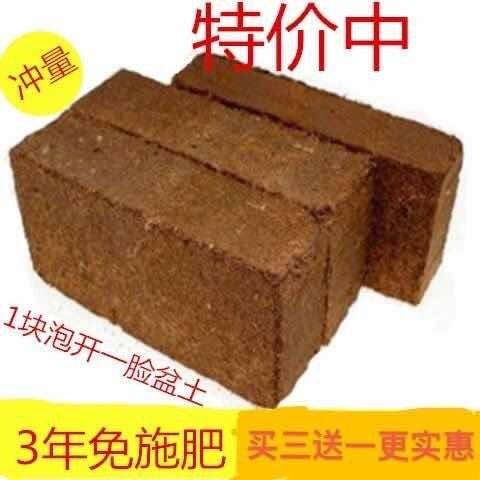 Coconut Brick Nutrition Coconut Coconut Material Plants Soil Soil Organic Flower Fertilizer Climbing Material